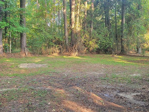 Large back yard.