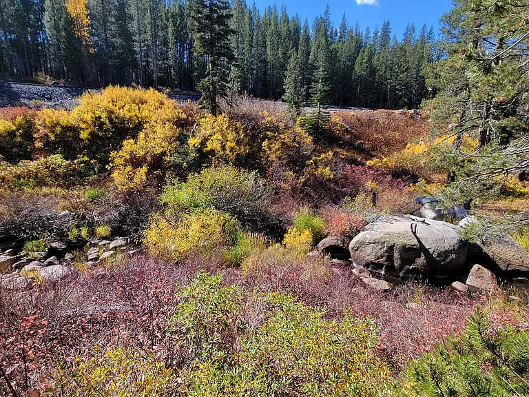 21719 Donner Pass Rd #1 — Photo 22