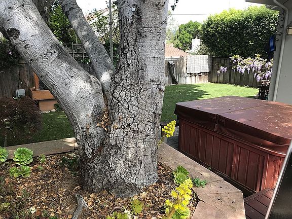 Side Yard