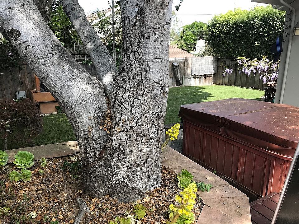 Side Yard