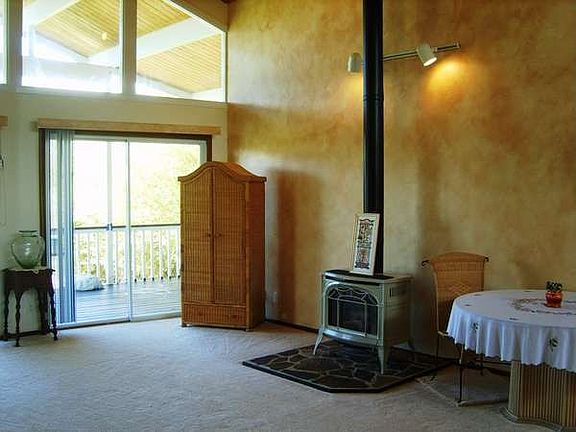 freestanding fireplace