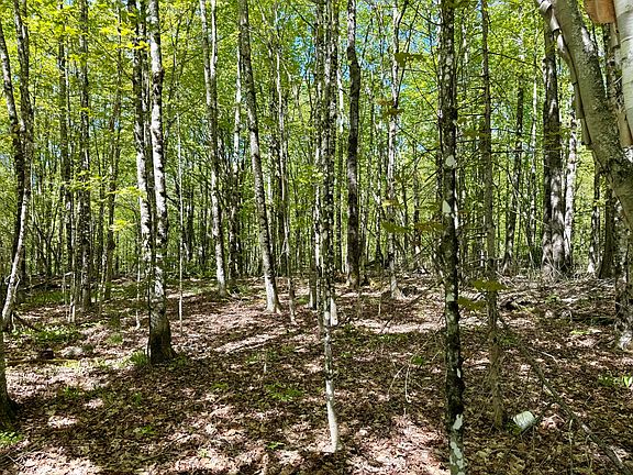 3rd image of Lot34I Scammon Road