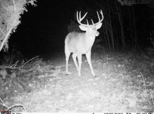 14695 Healy Lake Rd, Bear Lake, MI 49614