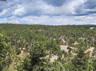 89 Kevin Dr, Cotopaxi, CO