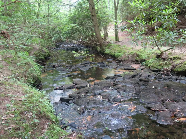 Rankin Rd, Deer Lodge, TN 37726