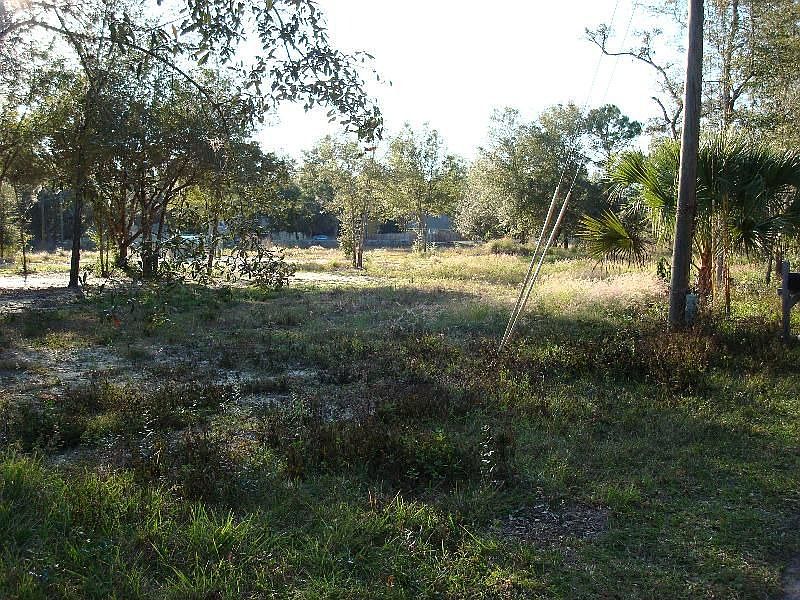 1st image of 25631 Timuquana Dr