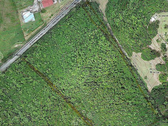 5th image of 50 Constitution Hill CO