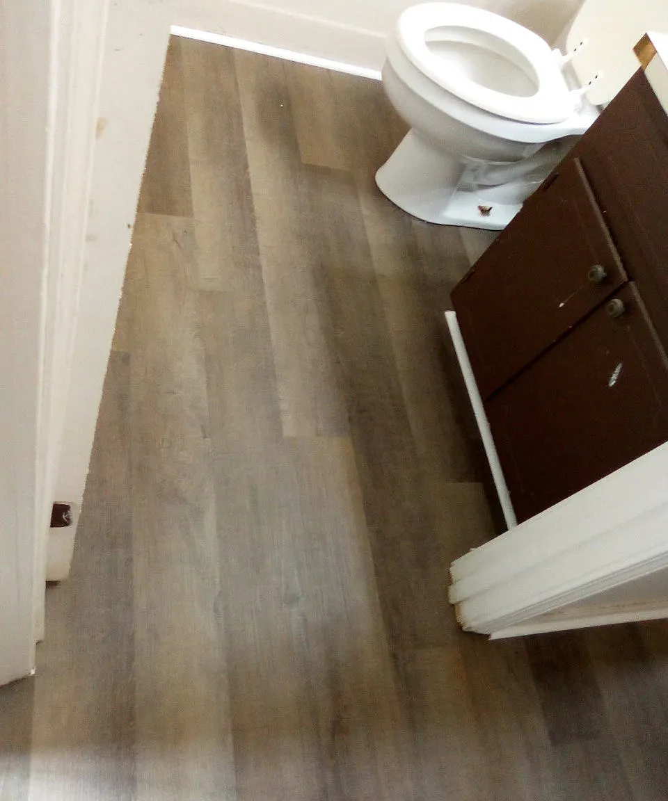 2 bed, 850 sqft, $1,100 — Photo 4