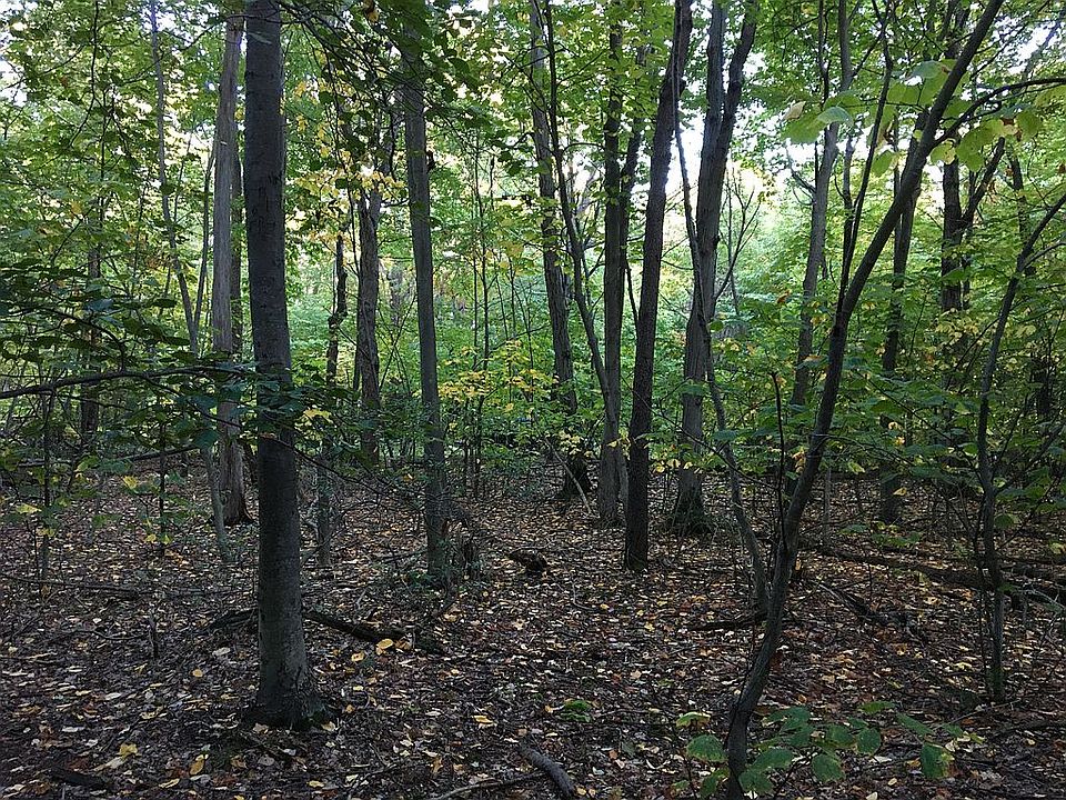 2nd image of Timberman Rd