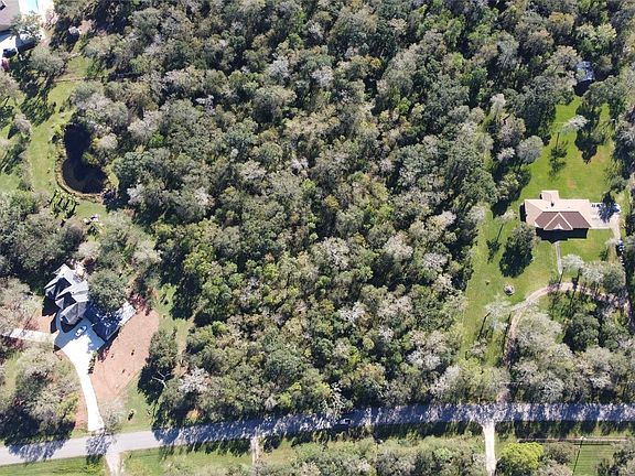 5th image of 0 Squirrel Holw