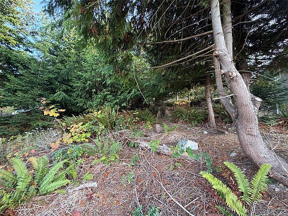 3rd image of 5323 Dewar Rd