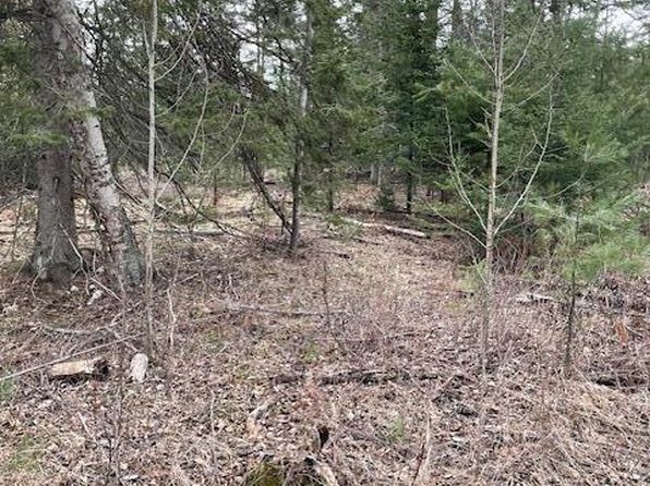 PARCEL Abby Ln #B, Ossineke, MI 49766