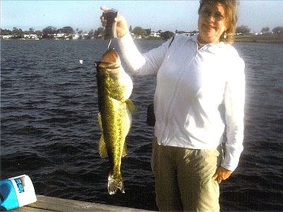 13 lb bass caught off our dock