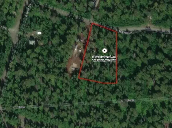 20528 E Rodnreel Ave, Talkeetna, AK 99676