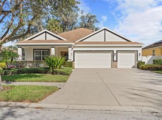 10117 Holland Rd, Riverview, FL 33578