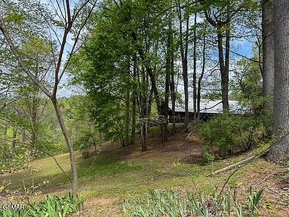 2nd image of 1421 Silver Poplar Ln
