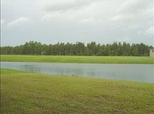 4605 Point O Woods Dr, Wesley Chapel, FL 33543