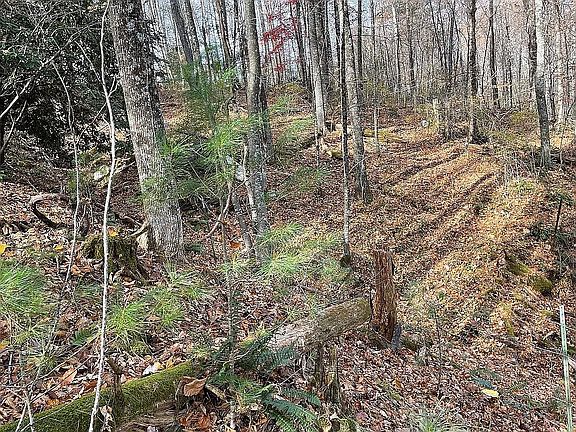 3rd image of 927 Kinzer Rd