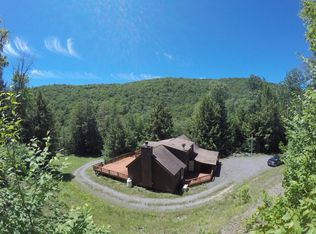 5057 Carcass Brook Rd, East Branch, NY 13756