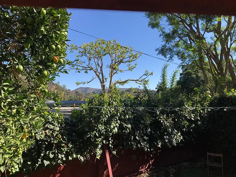 10505 Scenario Ln — Photo 18