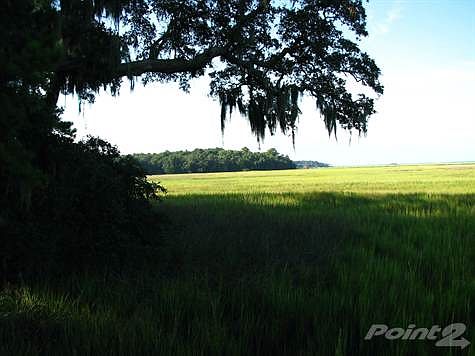 marsh4