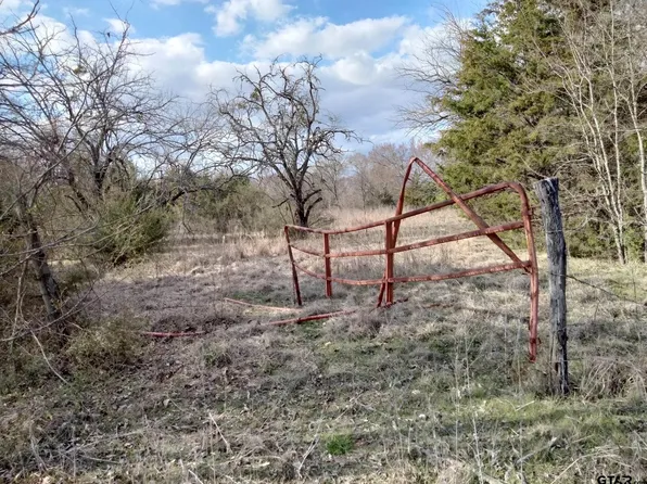 Tbd Fm 410, Detroit, TX 75436