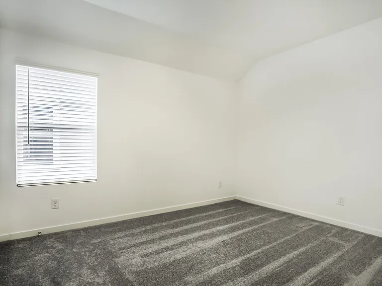 12623 Blue Catfish Ln — Photo 14