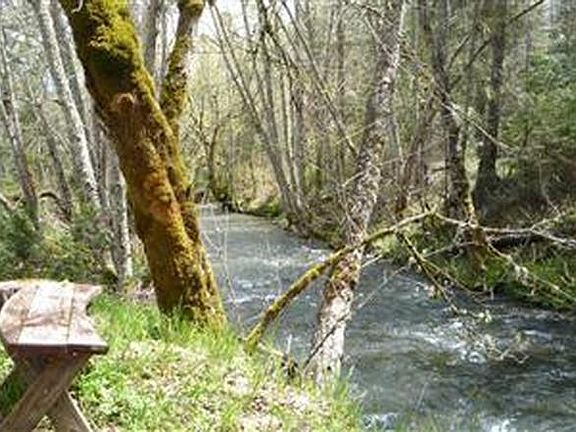 House is on Williams Creek