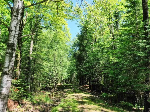 W4308 COUNTY ROAD M, Medford, WI 54451