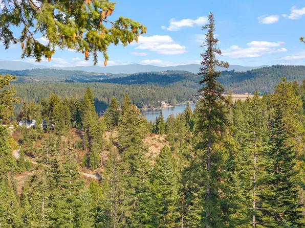 Nka E Temple Rd, Newman Lake, WA 99217