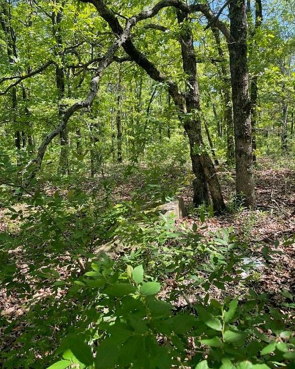 D 3884 Rd, Wetumka, OK 74883 Zillow