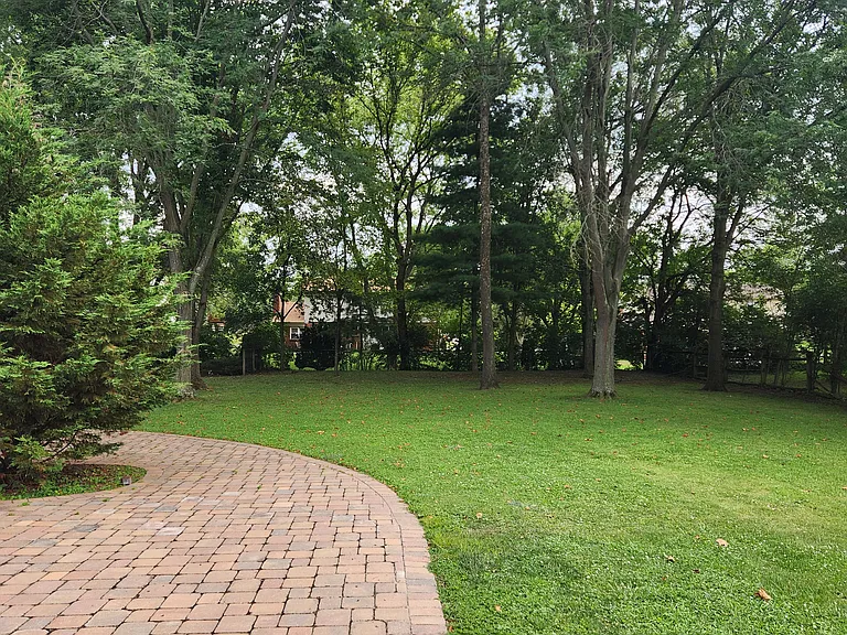 Back yard view from patio