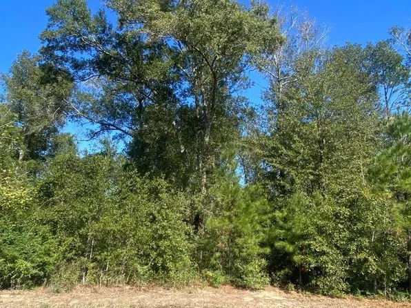 E Robinwood Dr, Lake Charles, LA 70611