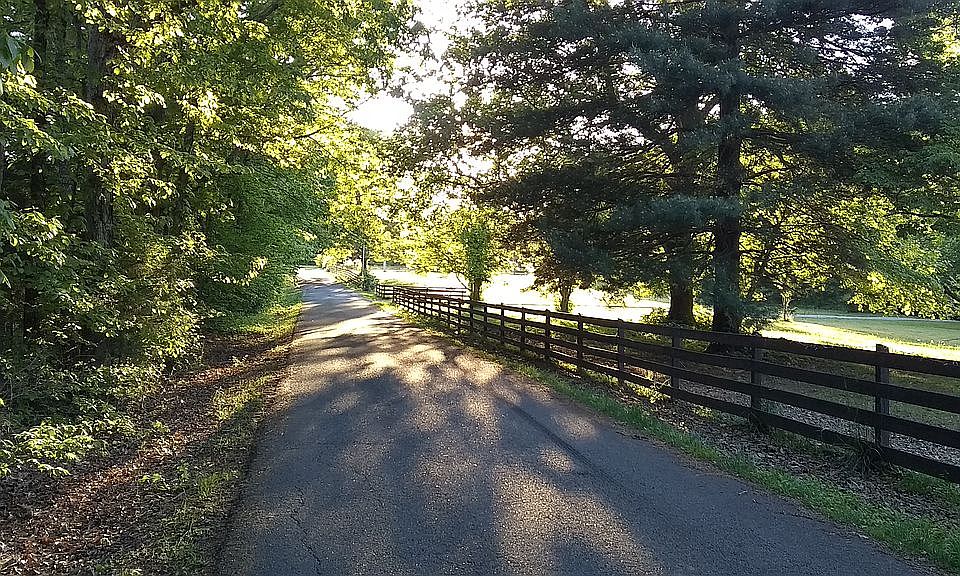 2nd image of Bellar Rd
