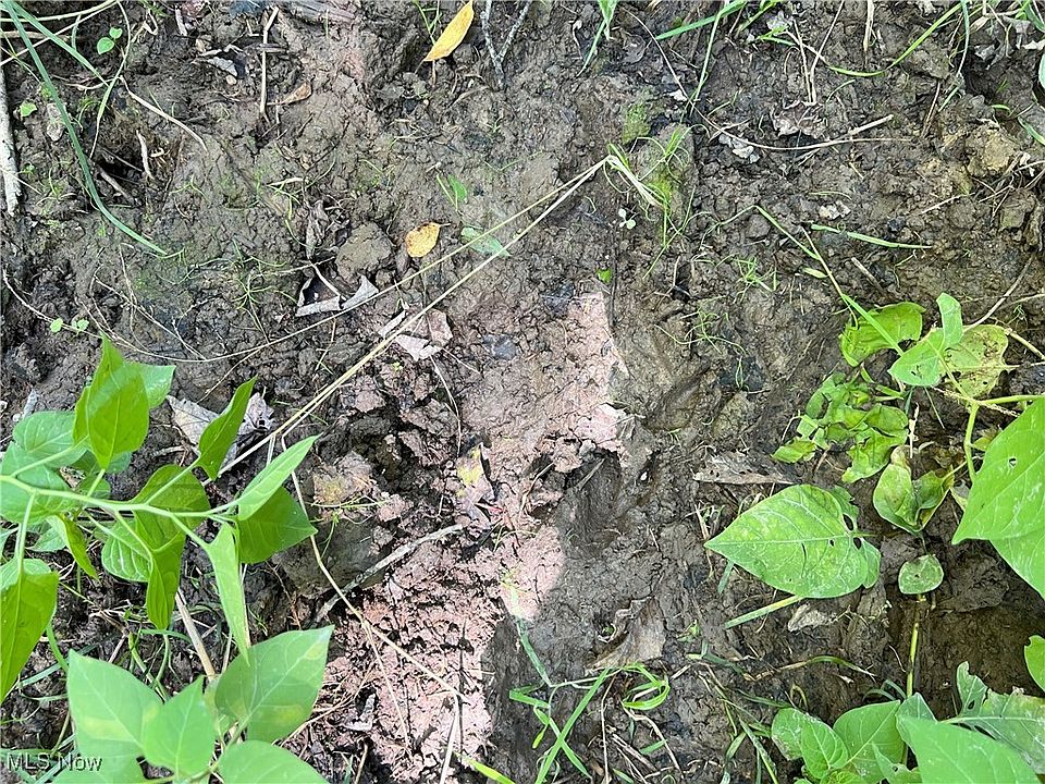 2nd image of Peterson Rd