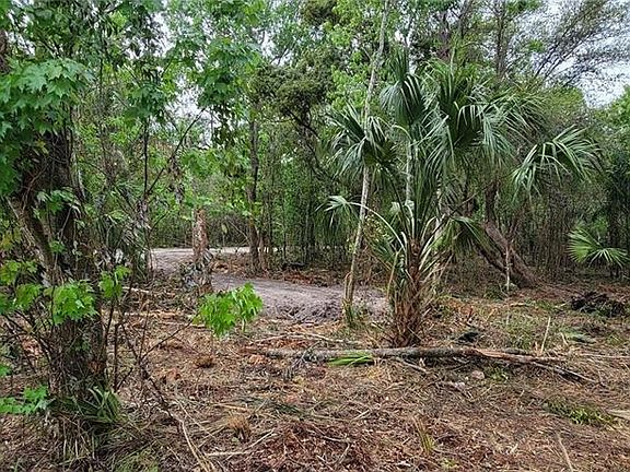 4th image of 0 N POINCIANA BOULEVARD LOT 4