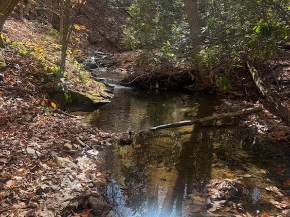 TBD Old Hwy 16, Jefferson, NC 28640