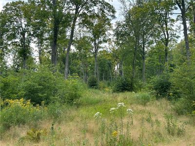 559.02 Acres Hwy T, Danbury, WI, 54830