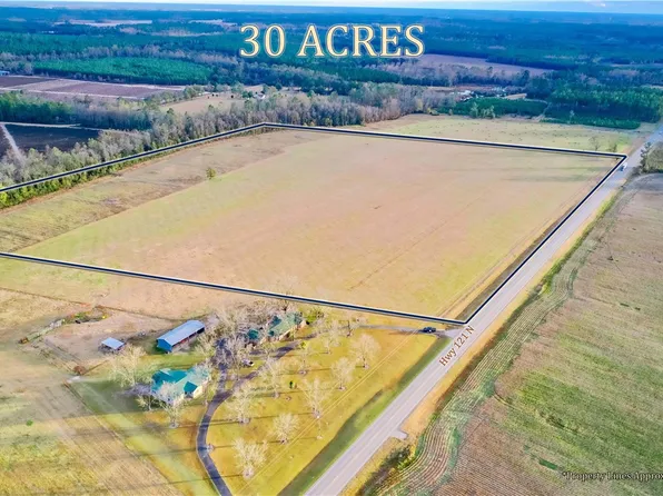 0 E Highway Ave #121, Blackshear, GA 31516