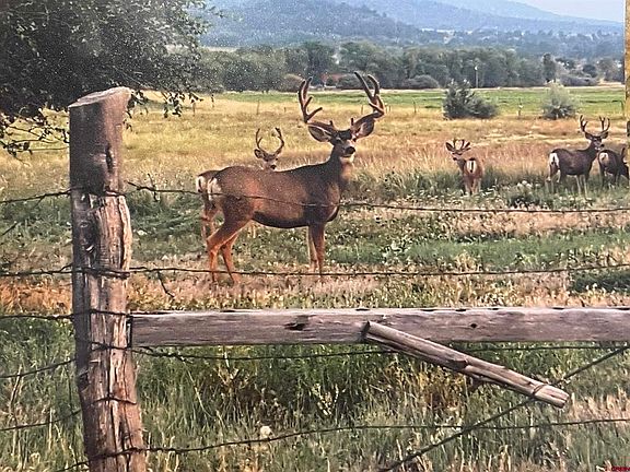 5th image of Lots 3-4 G.25 Road