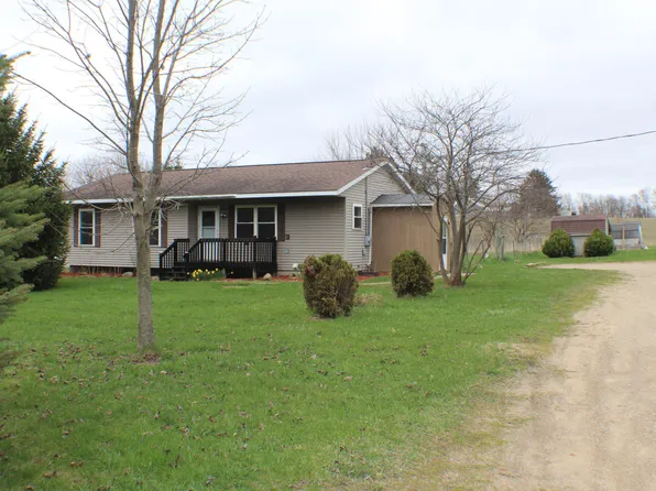 6854 S Bingham Ave, Newaygo, MI 49337