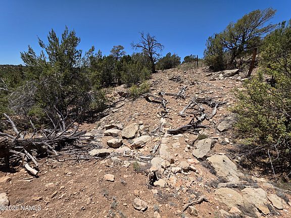 5th image of 9966 Northstar Rd