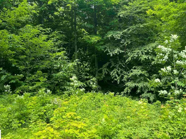 $66,900 — 15 S Mistys Trl, Empire MI