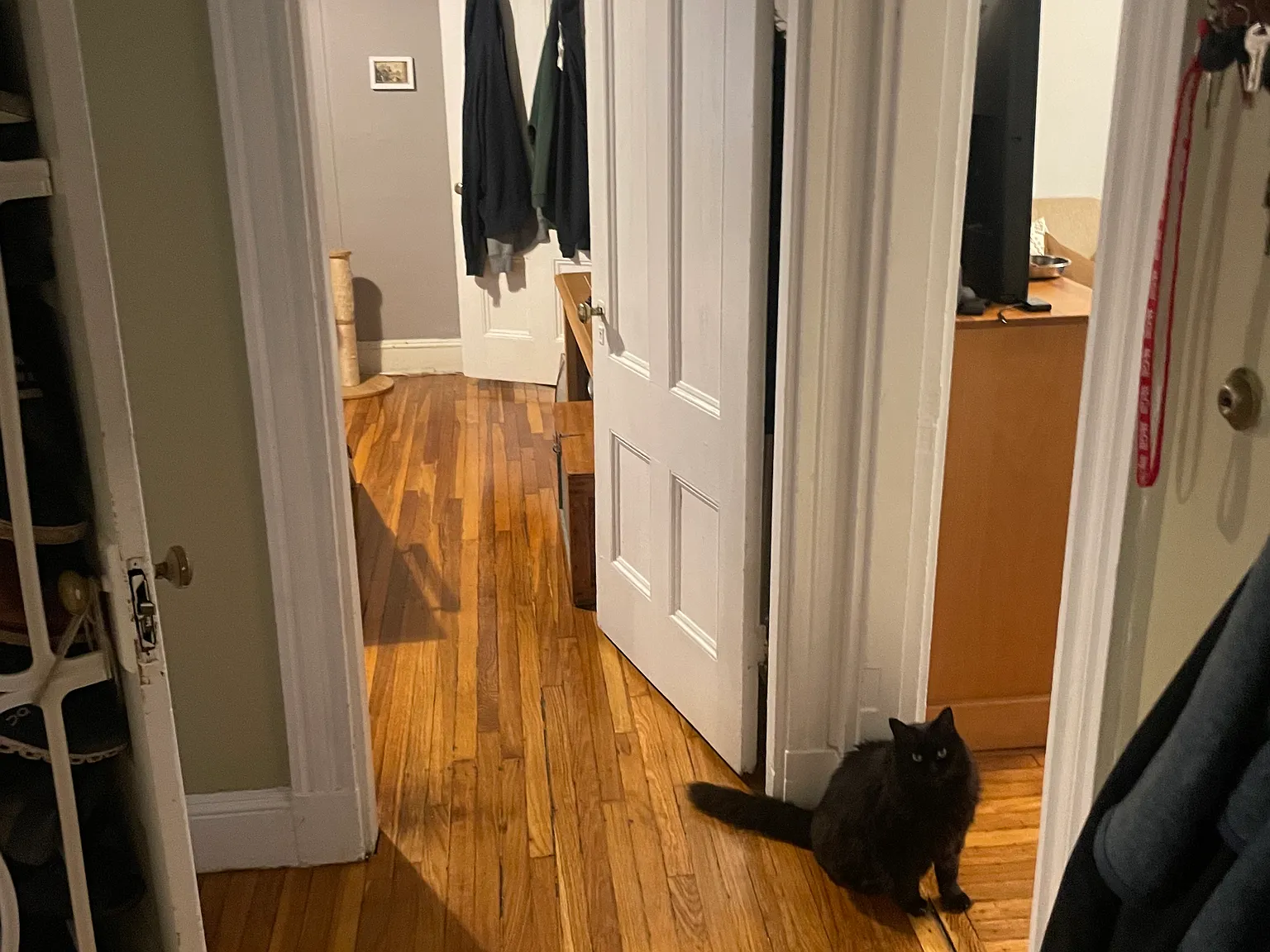 2 bed, 1200 sqft, $1,650 — Photo 2