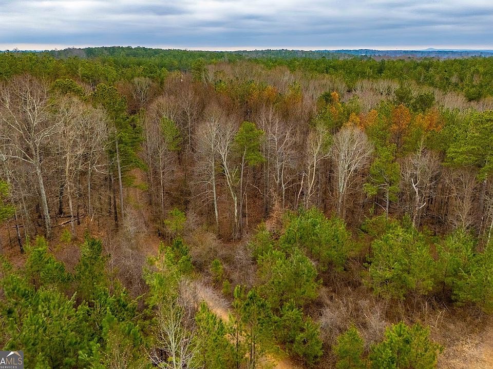 1st image of 0 Bremen Mount Zion Road Tract #2A-2B