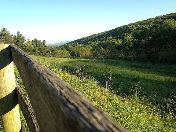 3rd image of 1632 Old National Pike