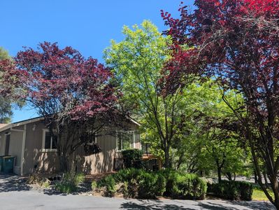 2087 American River Trl, Cool, CA, 95614