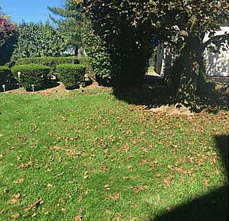 3rd image of 806 Summerlea Ave