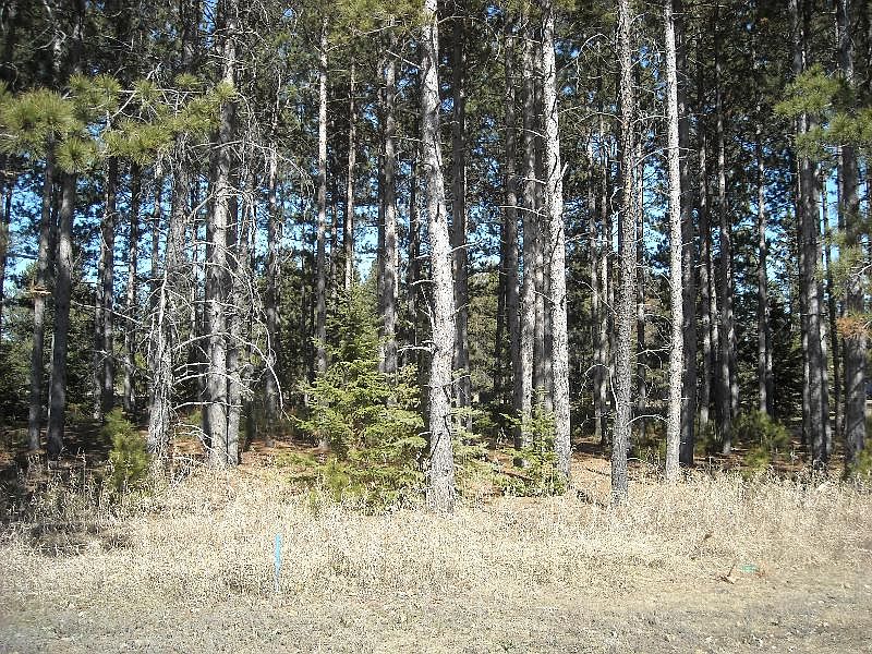 2nd image of Tbd Lomond Dr
