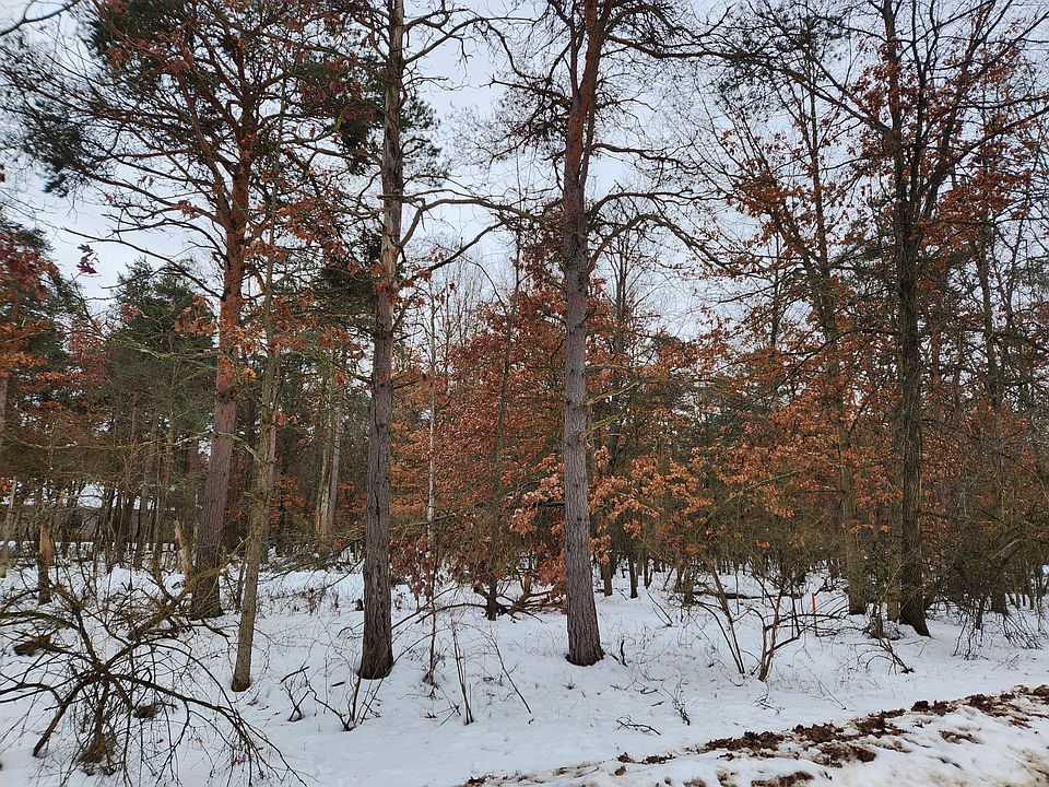 2nd image of 10083 Evergreen Ln
